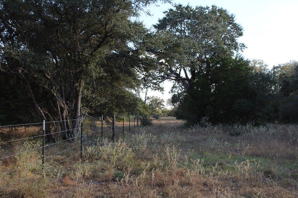 10 acres in Colorado County - photo 11