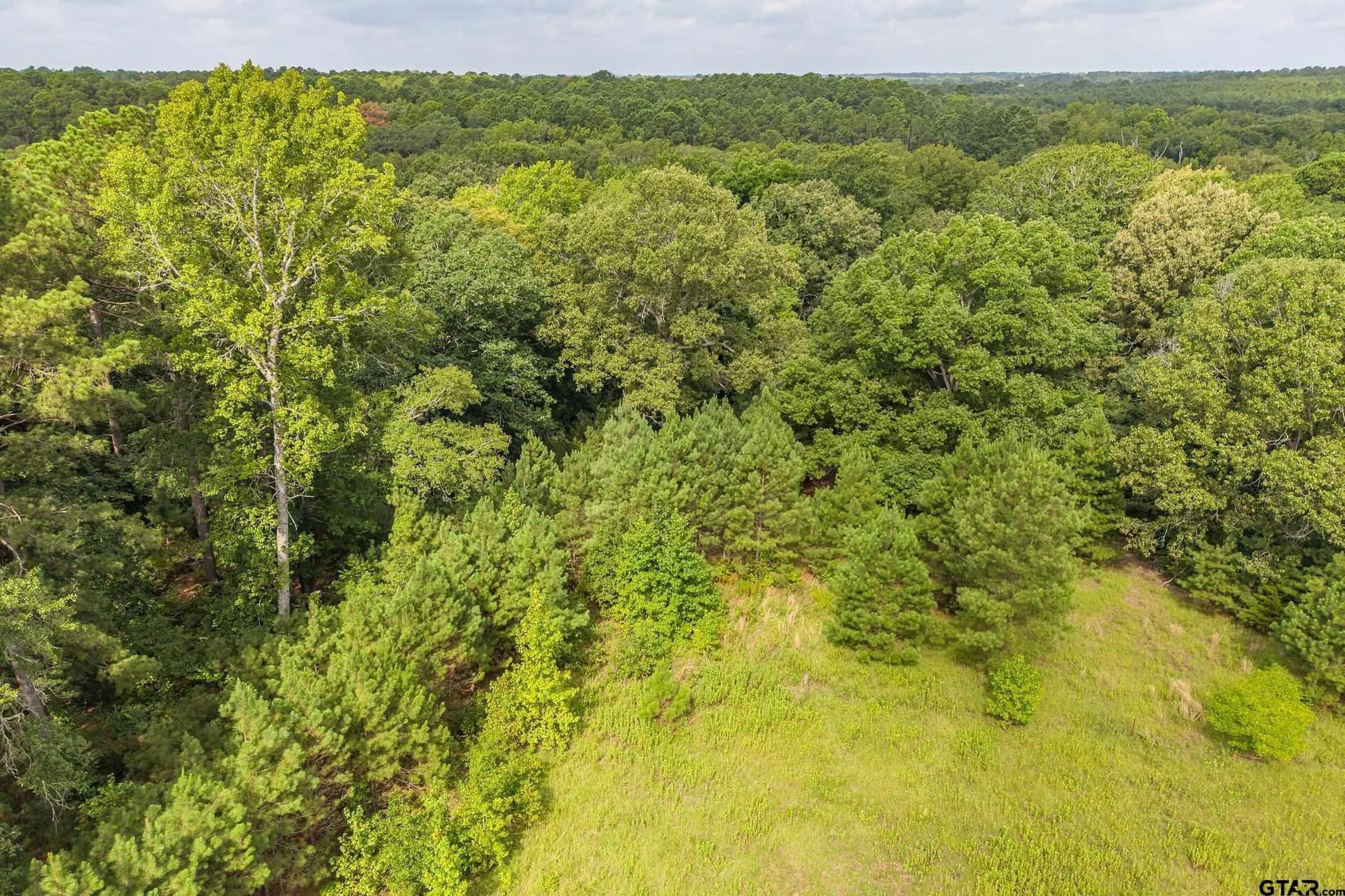56.56 acres in Smith County - photo 26