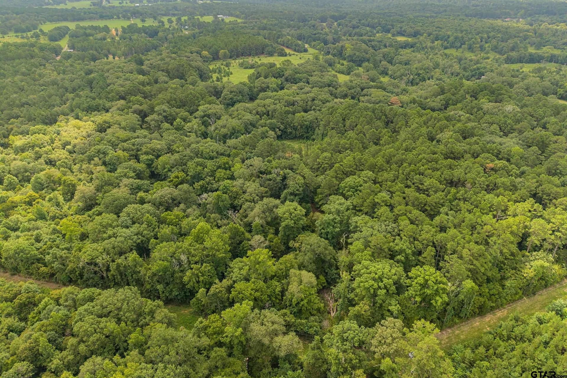 56.56 acres in Smith County - photo 24