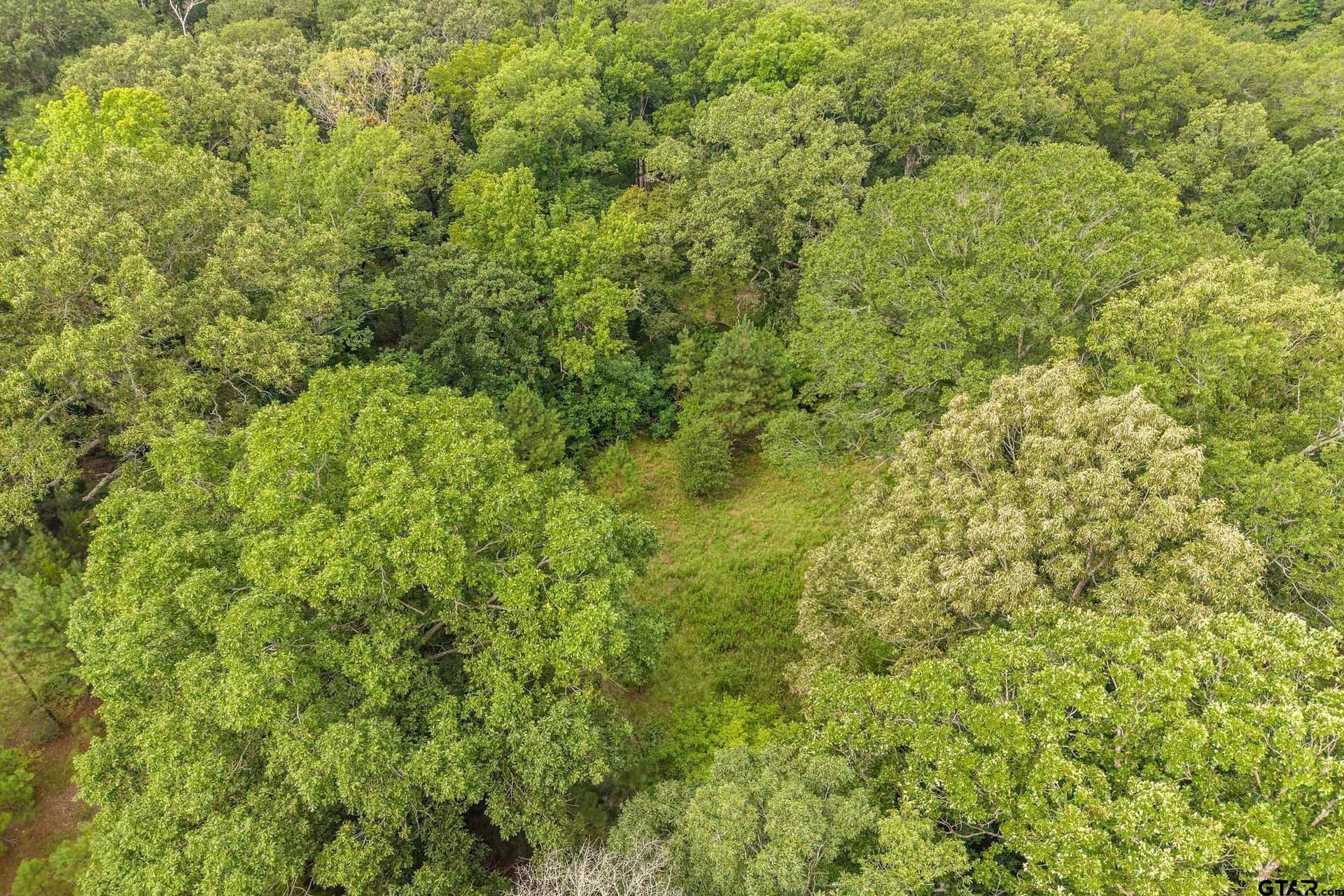 56.56 acres in Smith County - photo 25