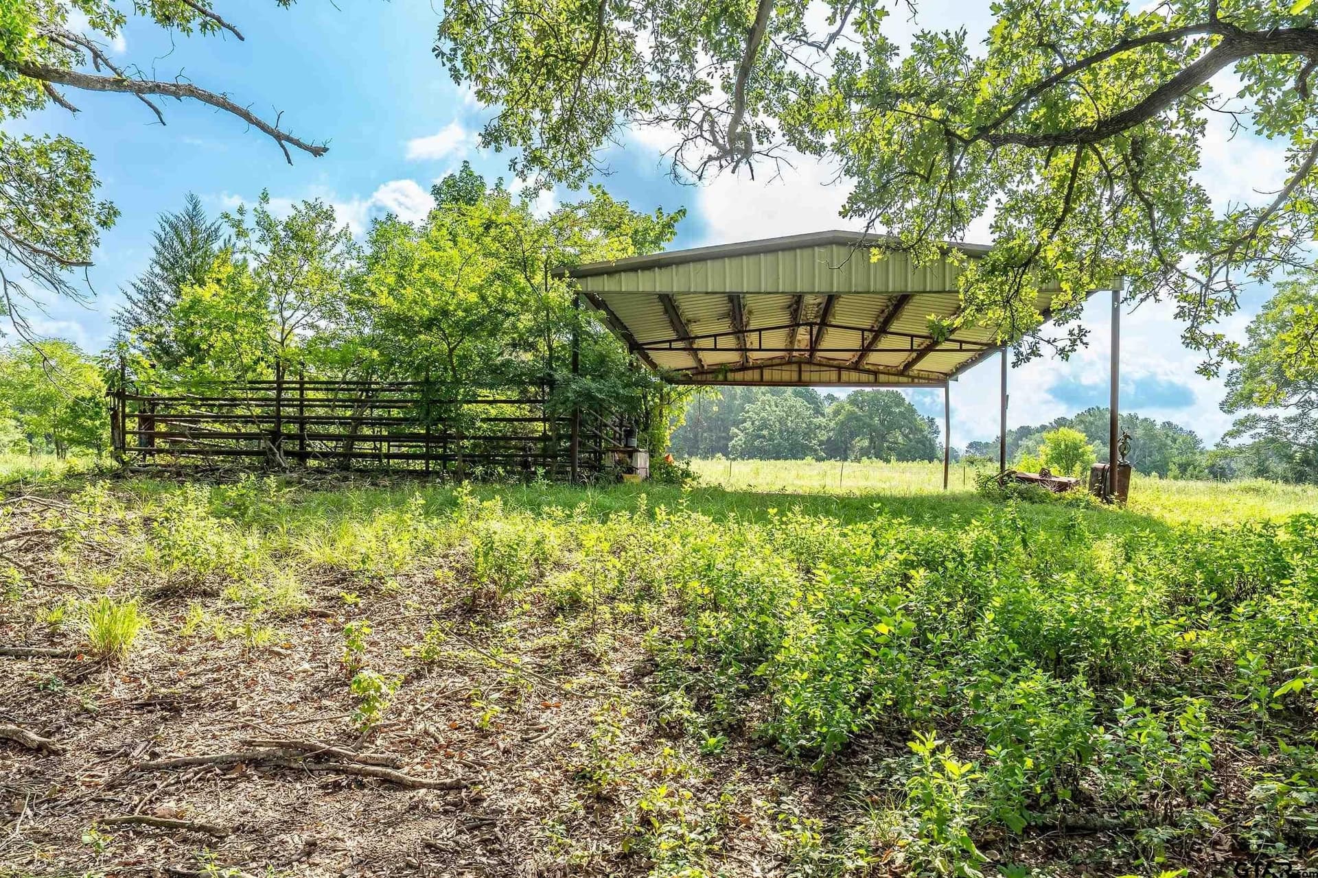 56.56 acres in Smith County - photo 18