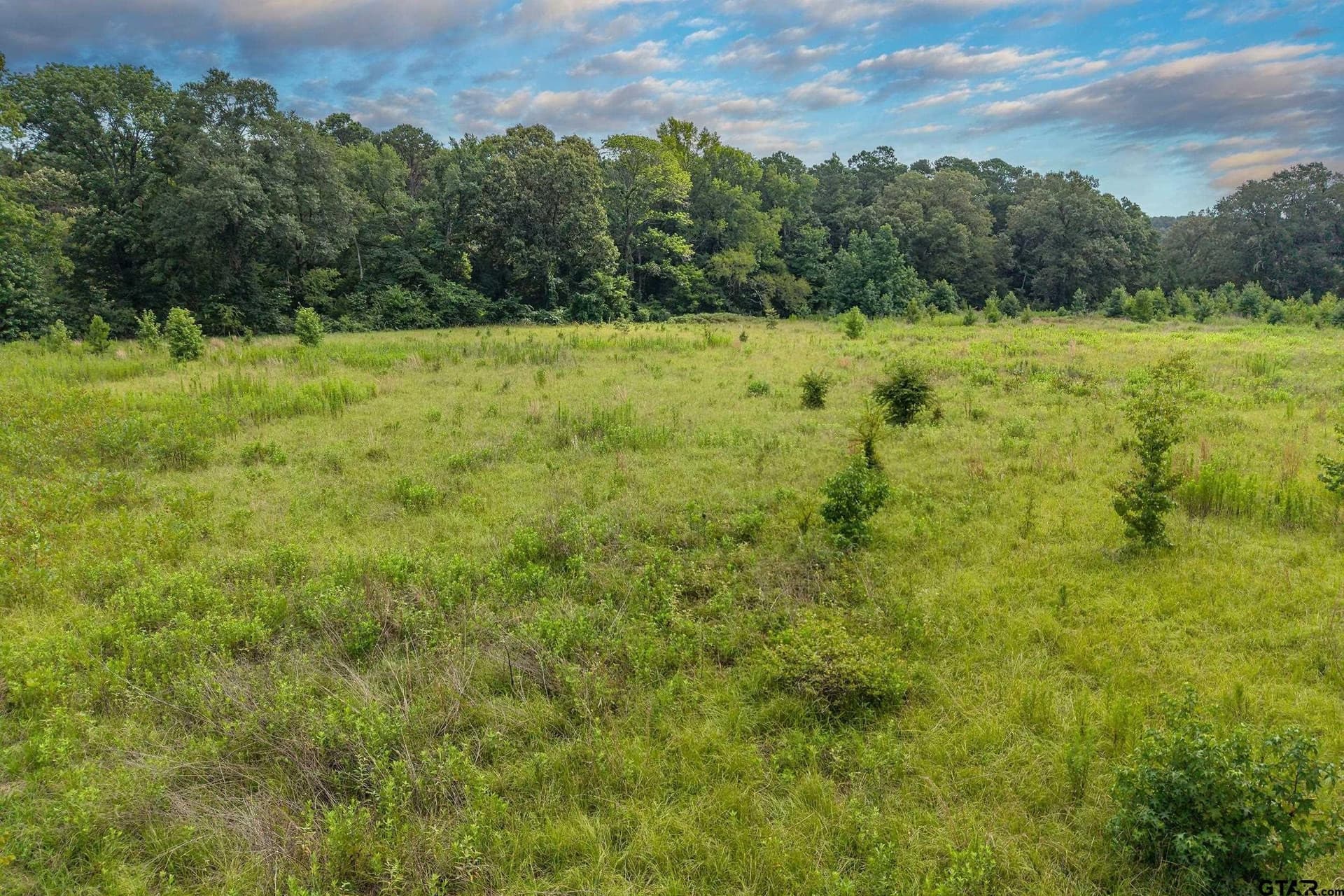 56.56 acres in Smith County - photo 7