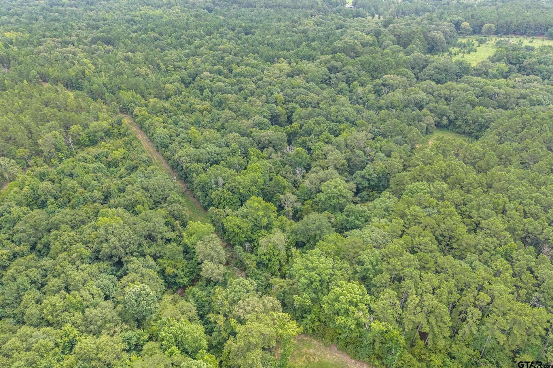 56.56 acres in Smith County - photo 32