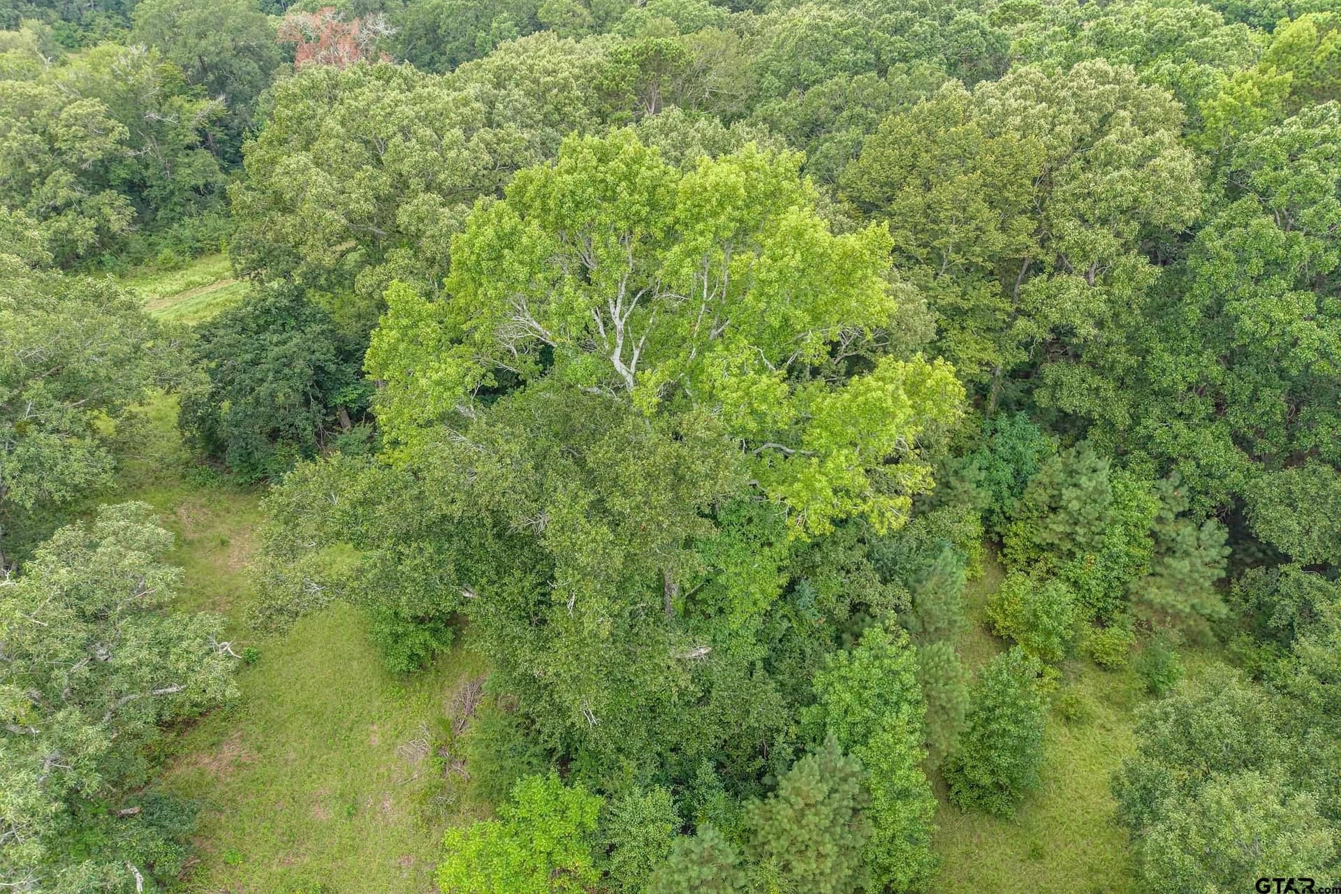 56.56 acres in Smith County - photo 37