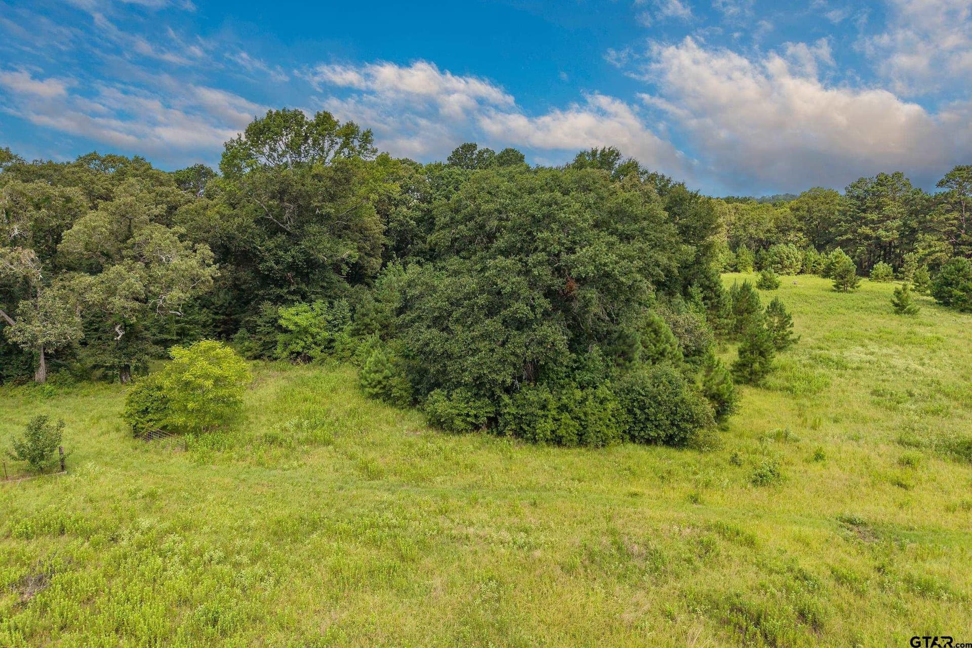 56.56 acres in Smith County - photo 27