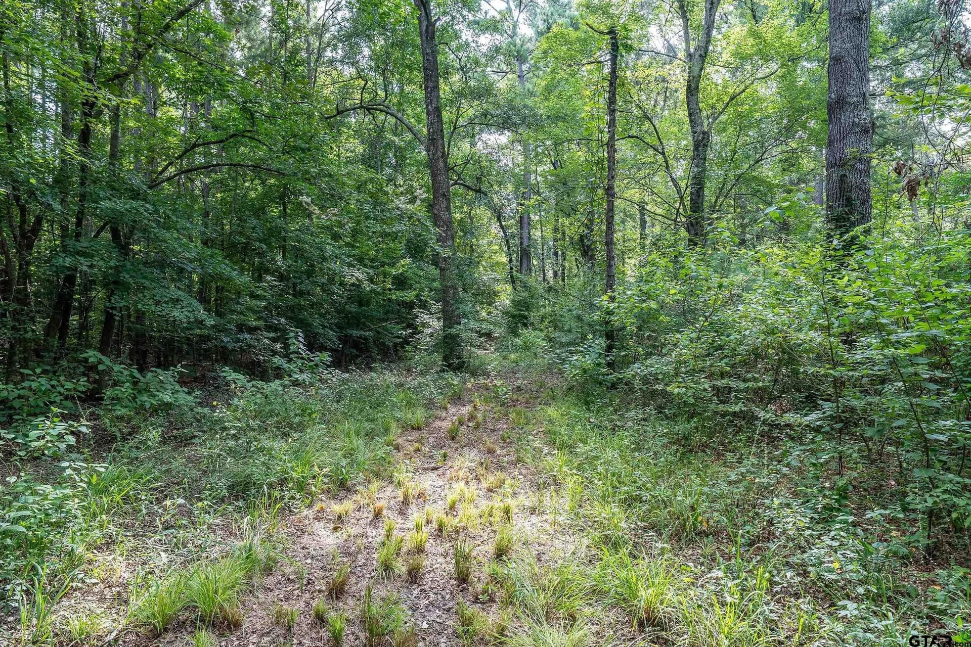 56.56 acres in Smith County - photo 42