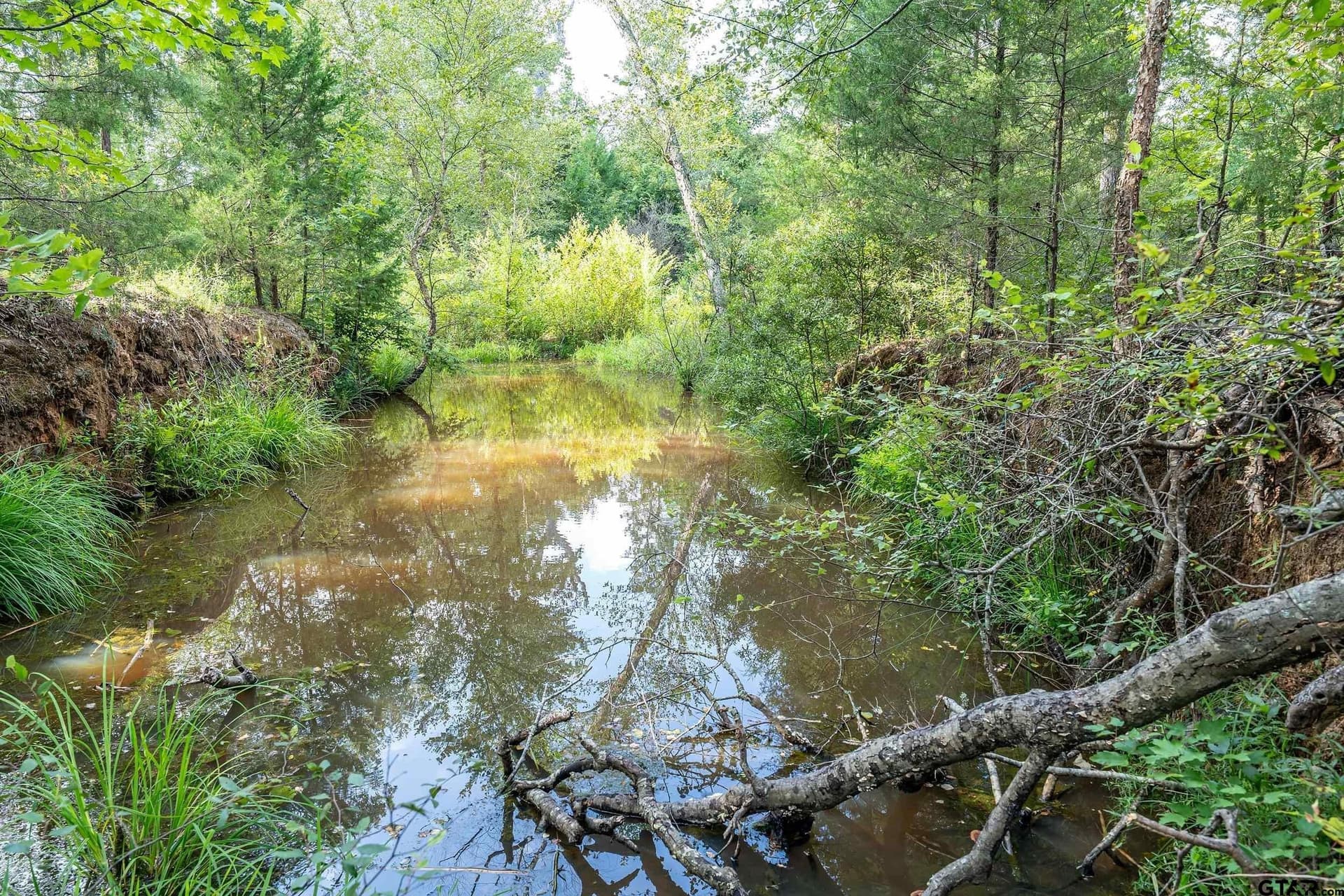 56.56 acres in Smith County - photo 36