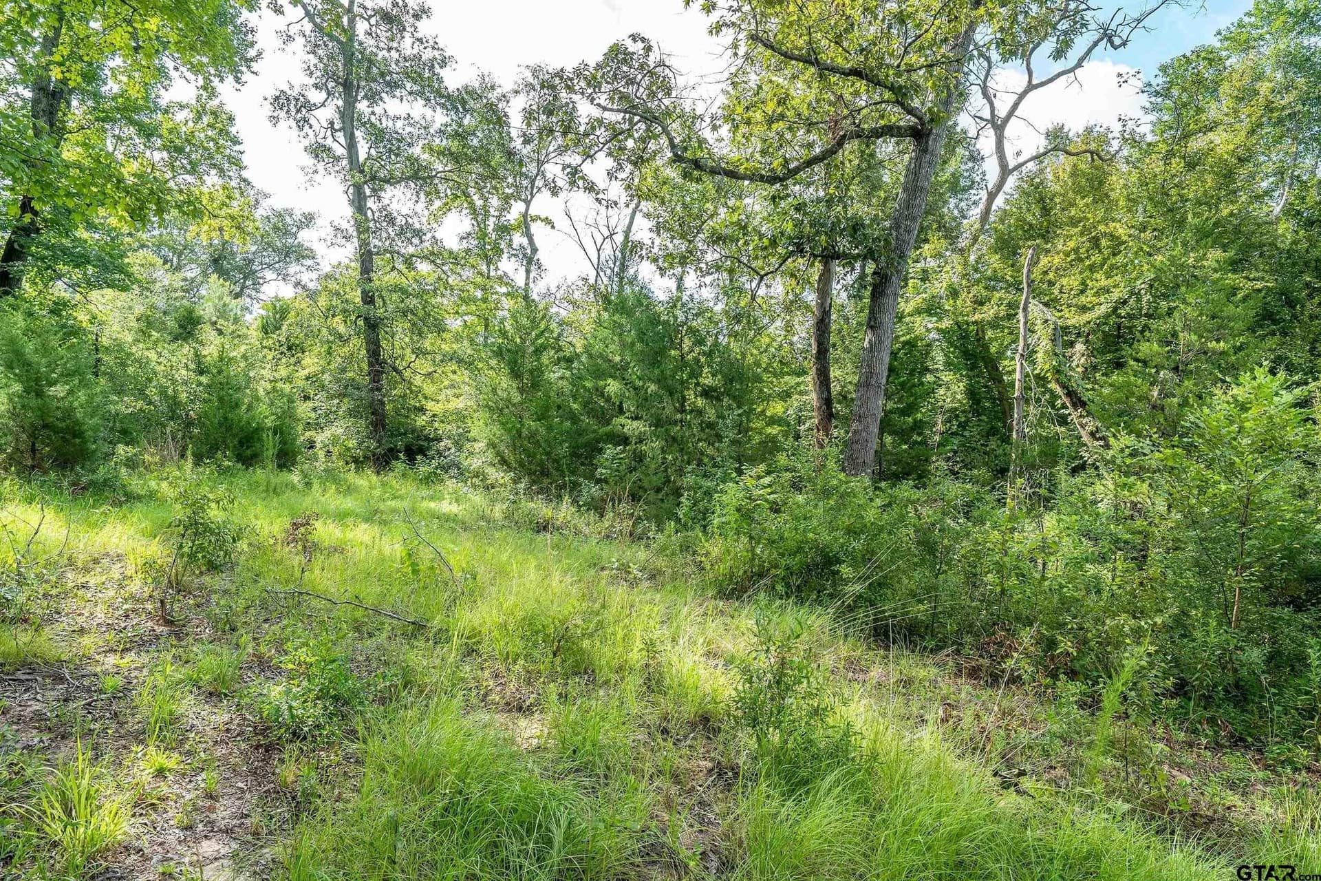 56.56 acres in Smith County - photo 38