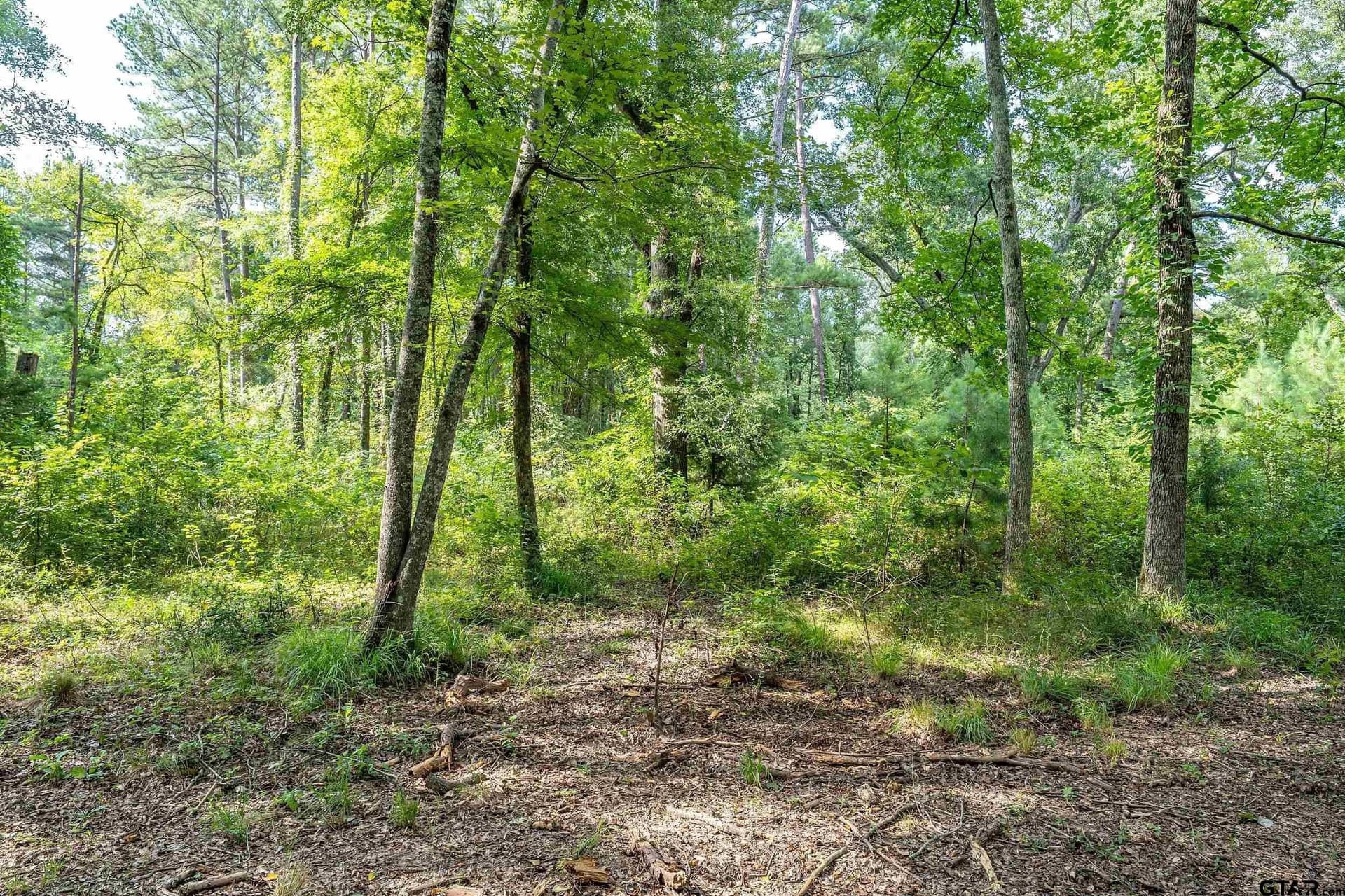 56.56 acres in Smith County - photo 17