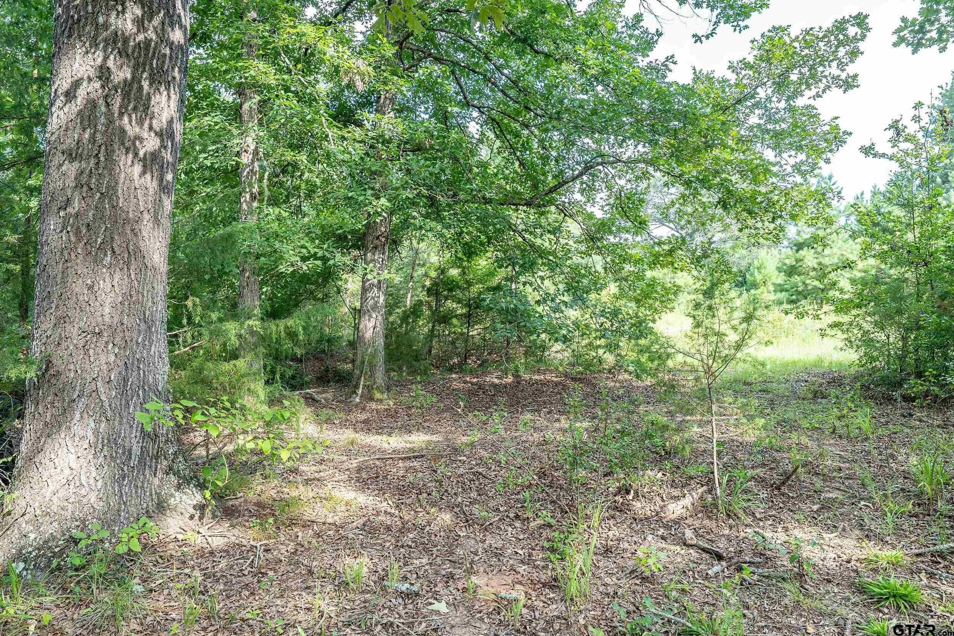56.56 acres in Smith County - photo 9