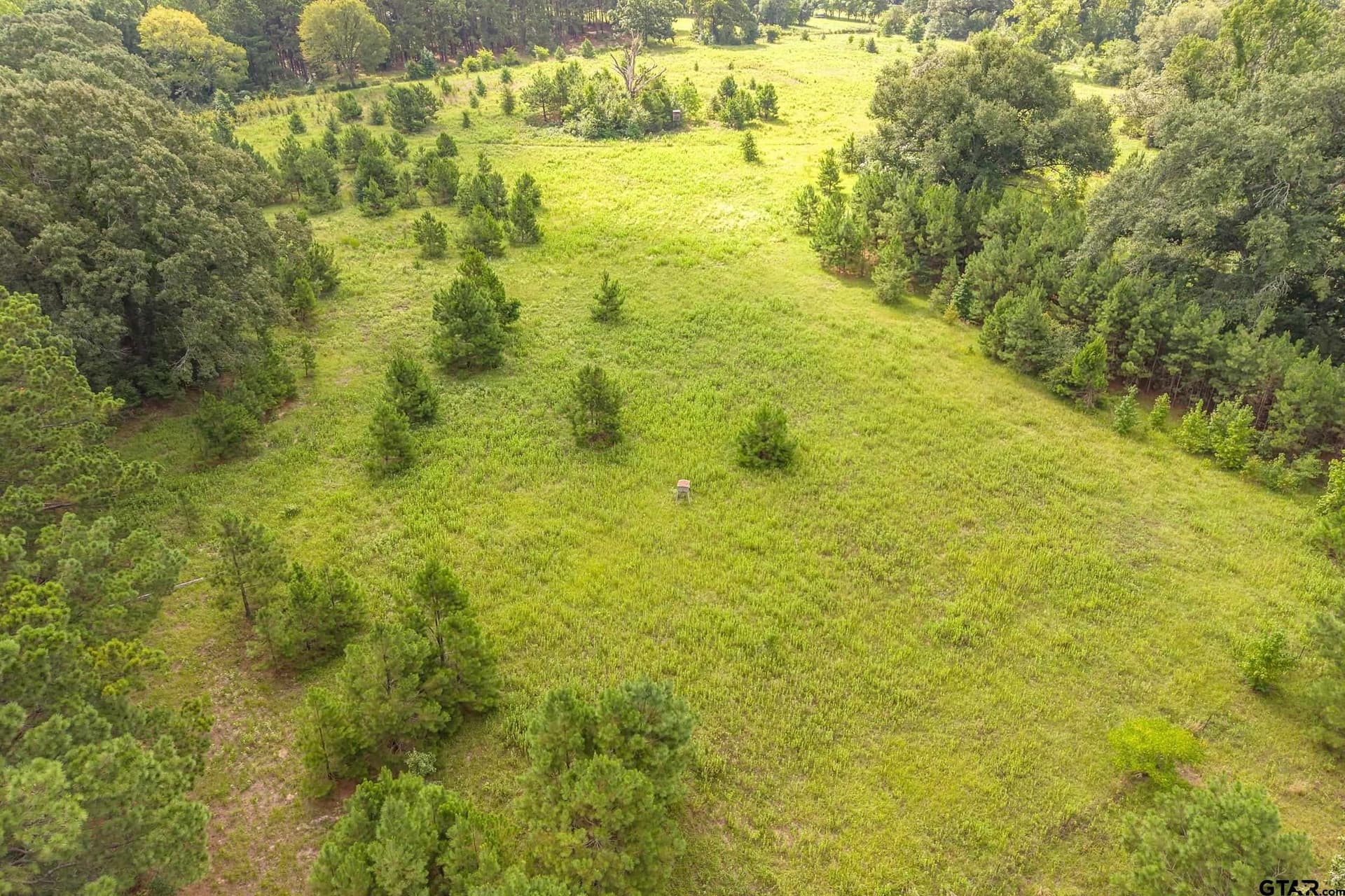 56.56 acres in Smith County - photo 30