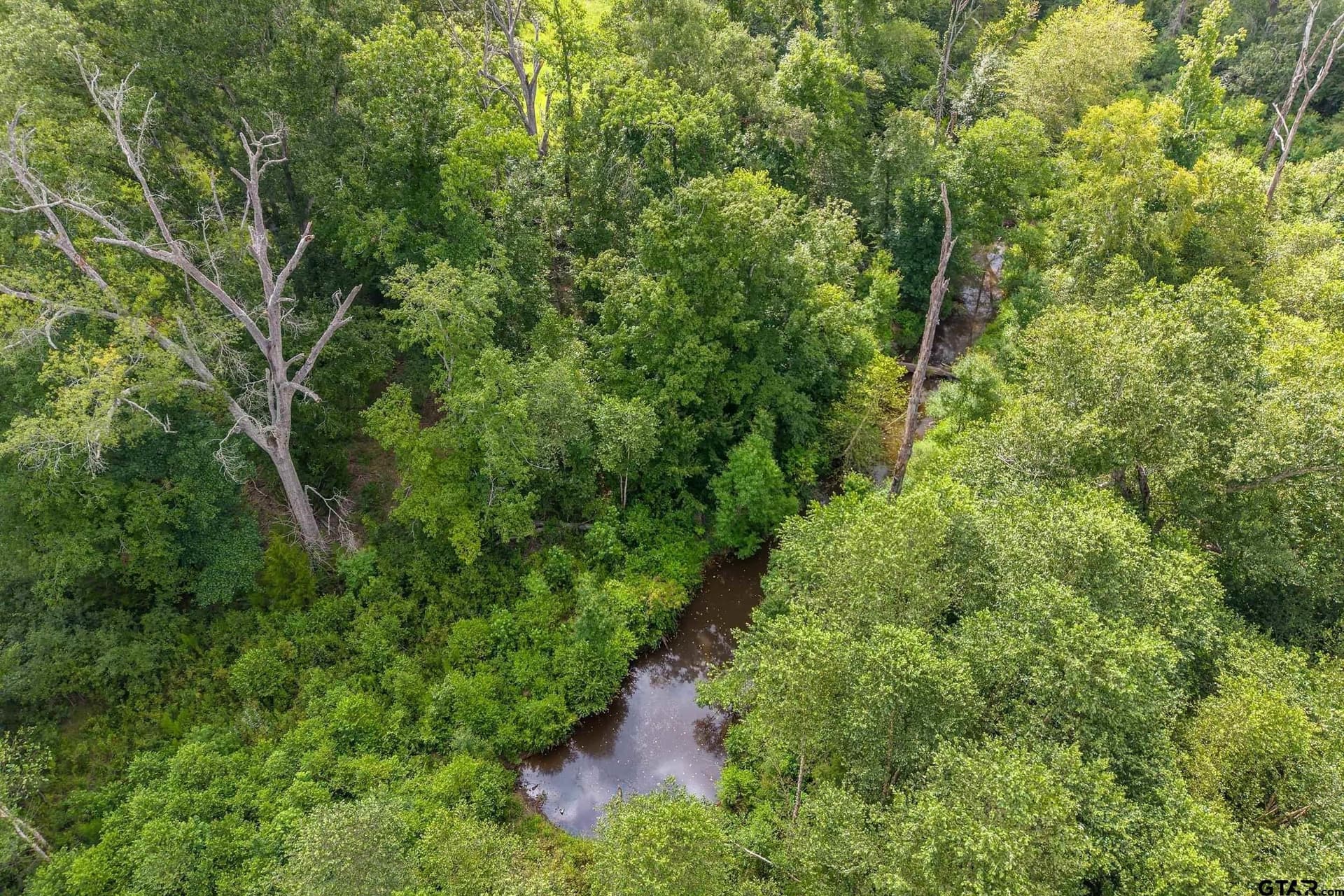 56.56 acres in Smith County - photo 40