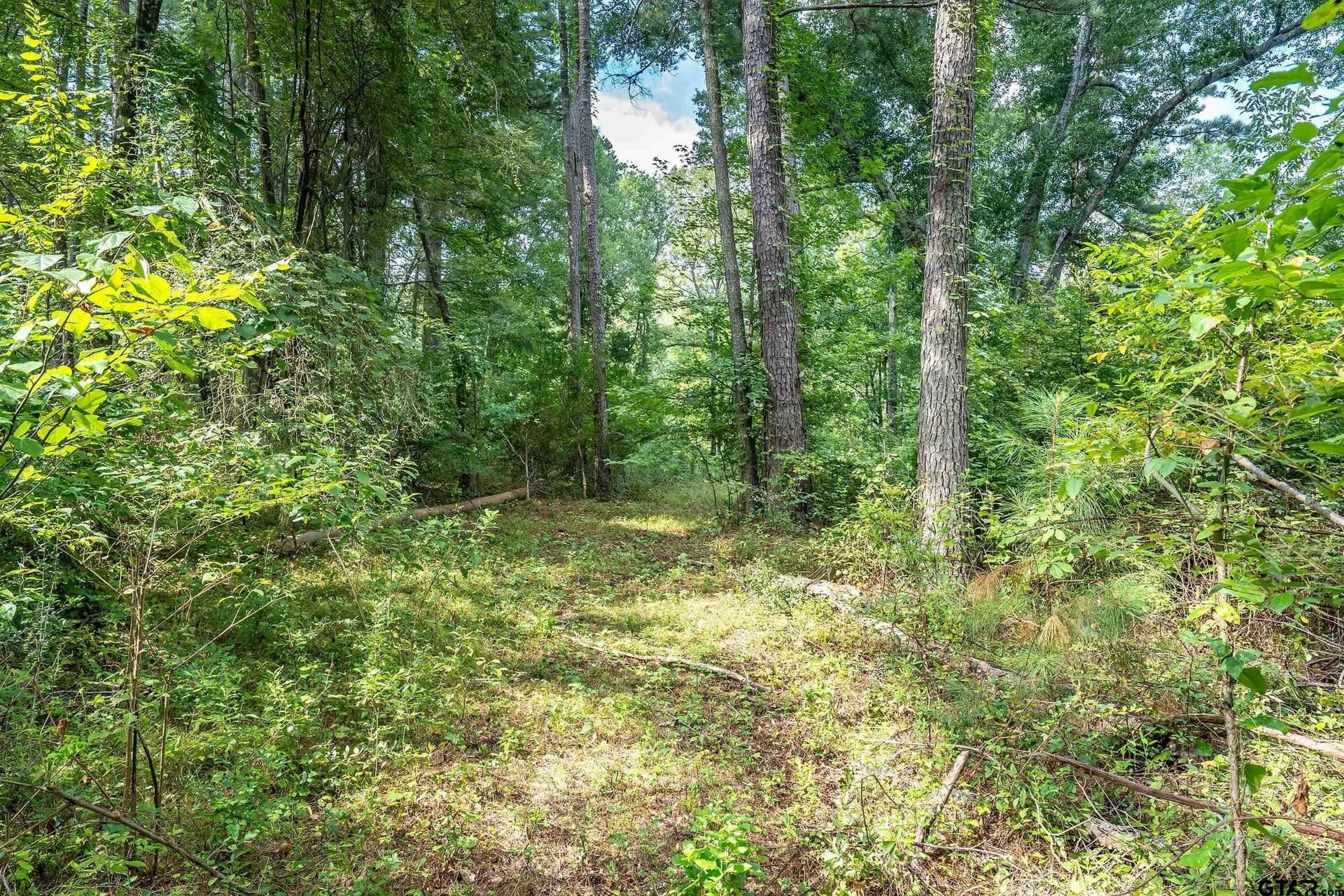 56.56 acres in Smith County - photo 13