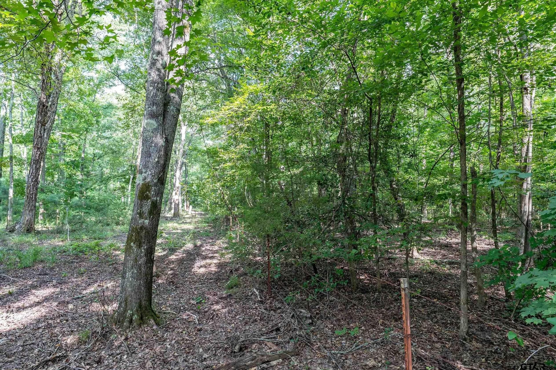 56.56 acres in Smith County - photo 43