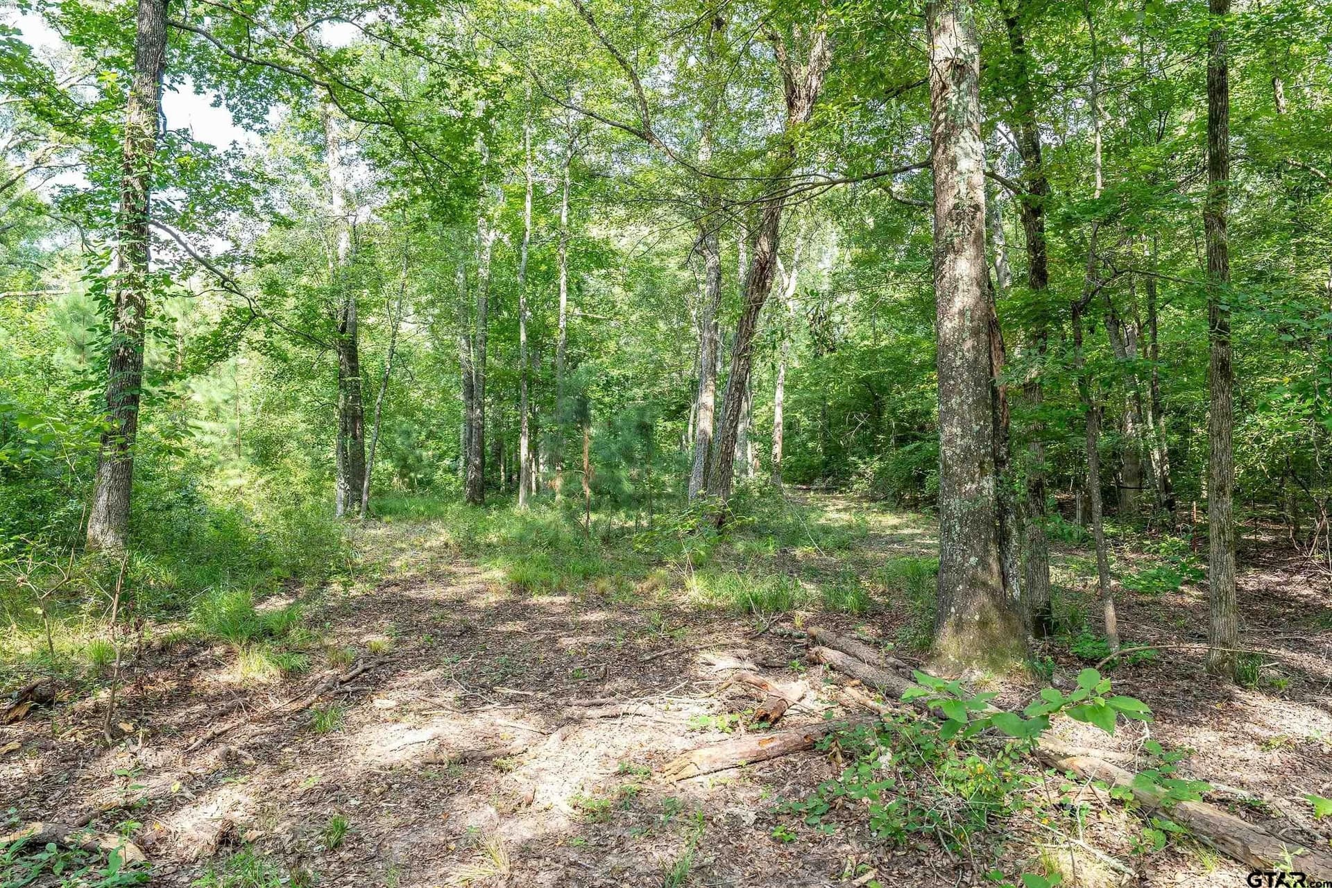 56.56 acres in Smith County - photo 31
