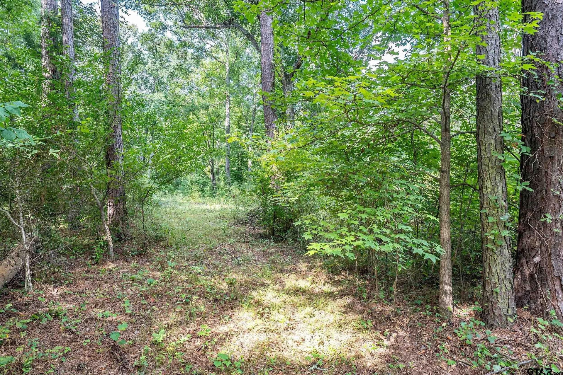 56.56 acres in Smith County - photo 39