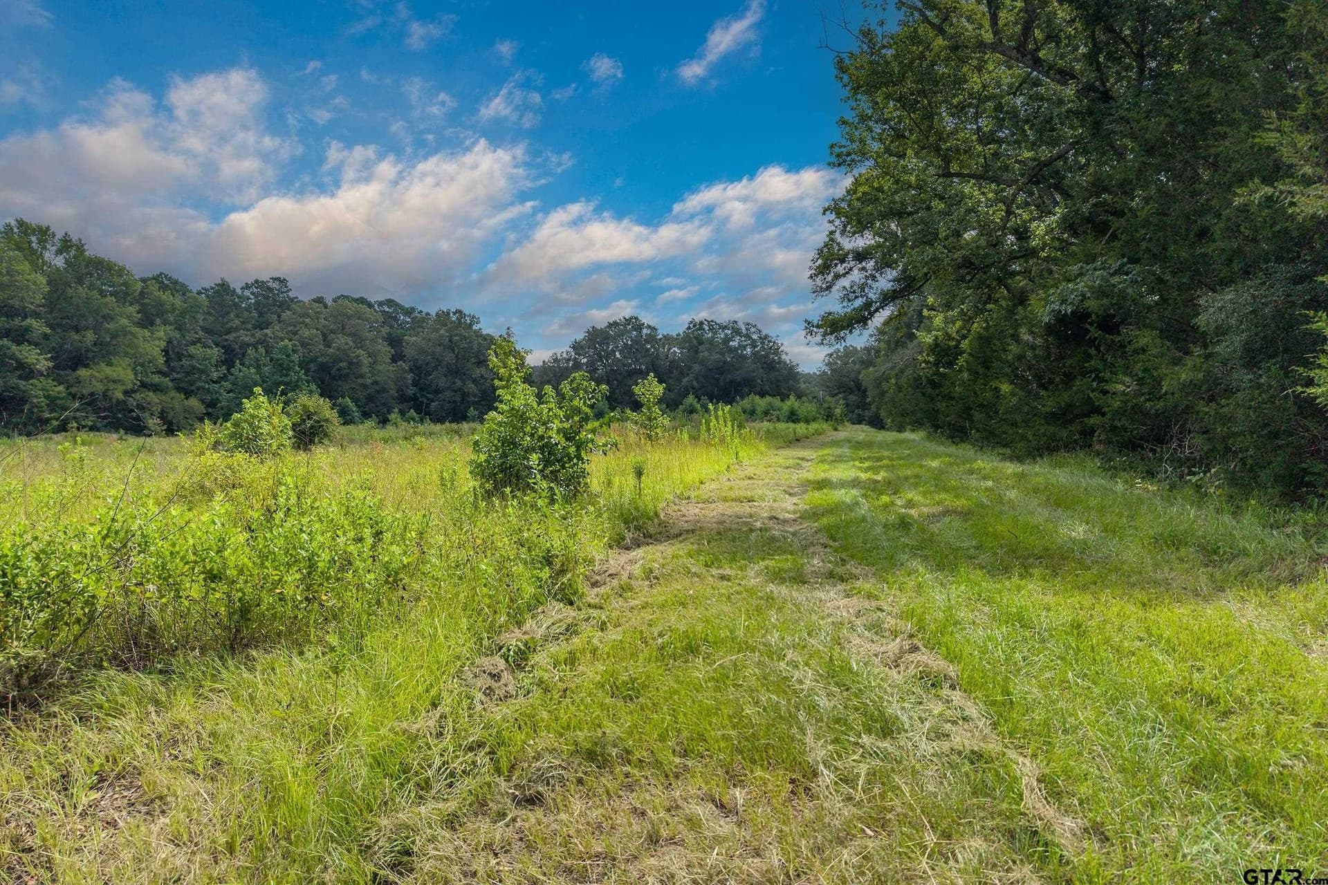 56.56 acres in Smith County - photo 6