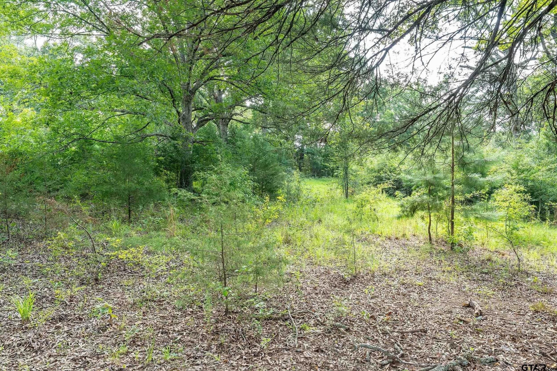 56.56 acres in Smith County - photo 23