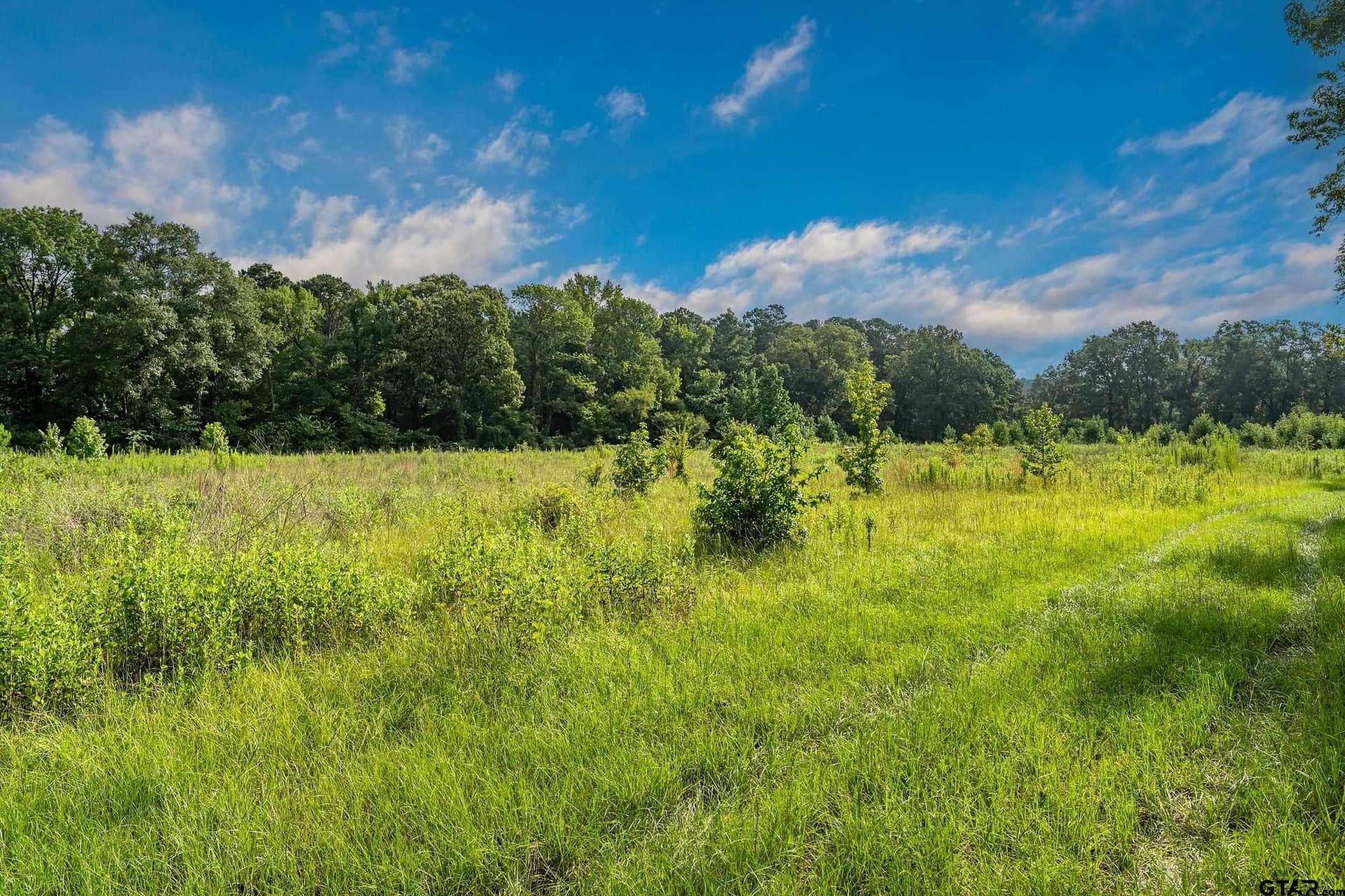 56.56 acres in Smith County - photo 3
