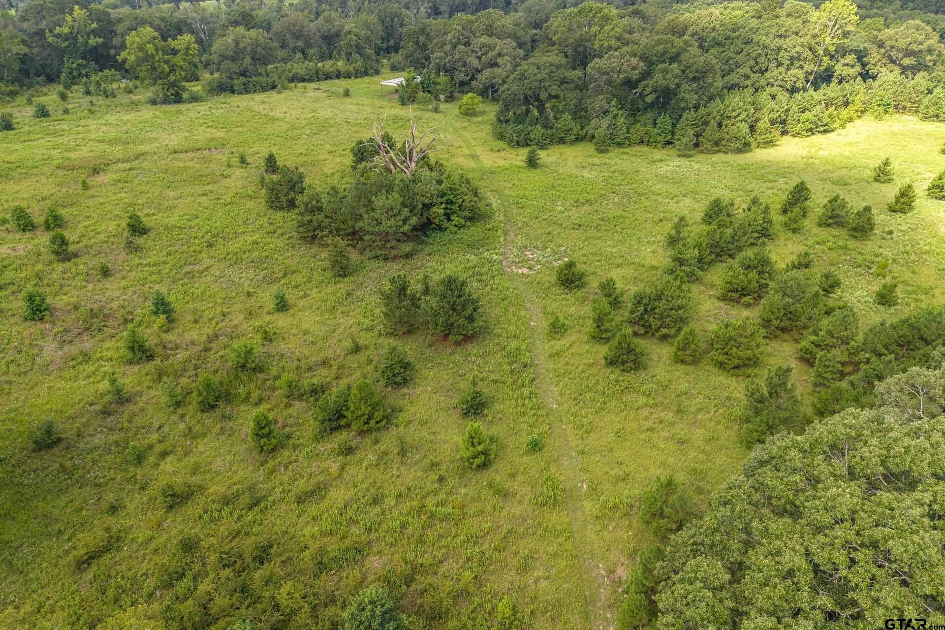 56.56 acres in Smith County - photo 15