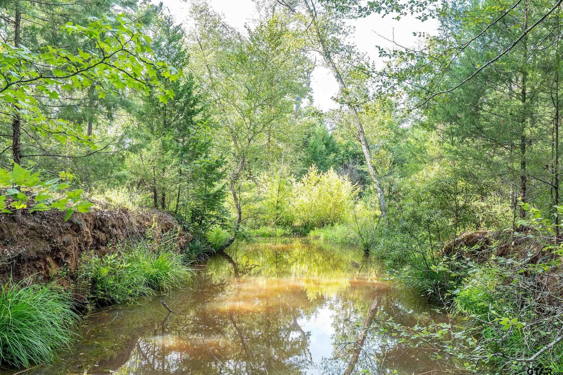 56.56 acres in Smith County - photo 34