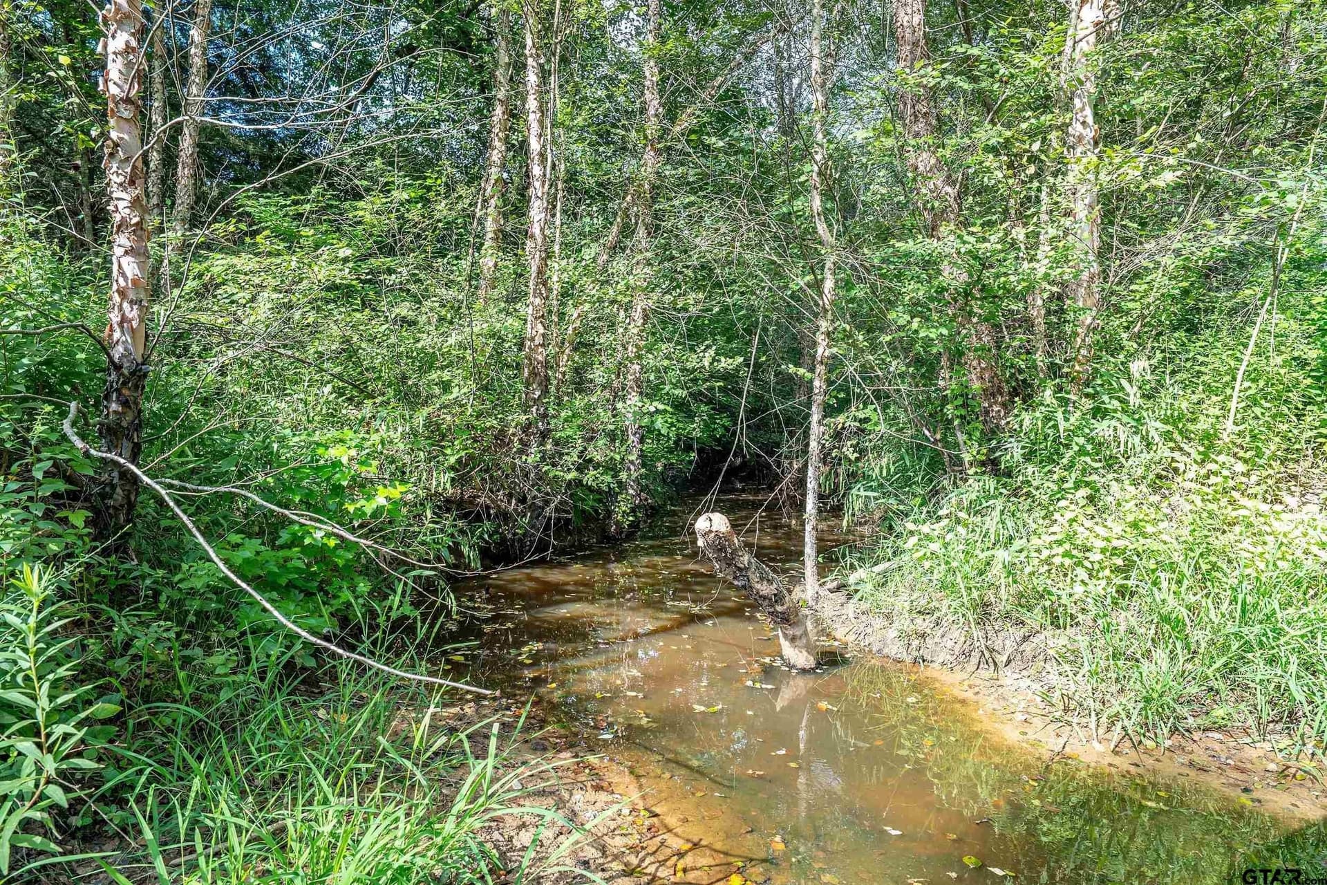 56.56 acres in Smith County - photo 10