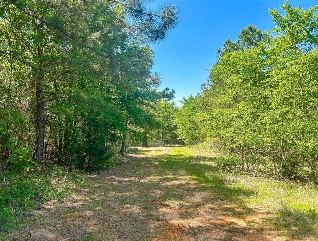 16.01 acres in Van Zandt County gallery image 2