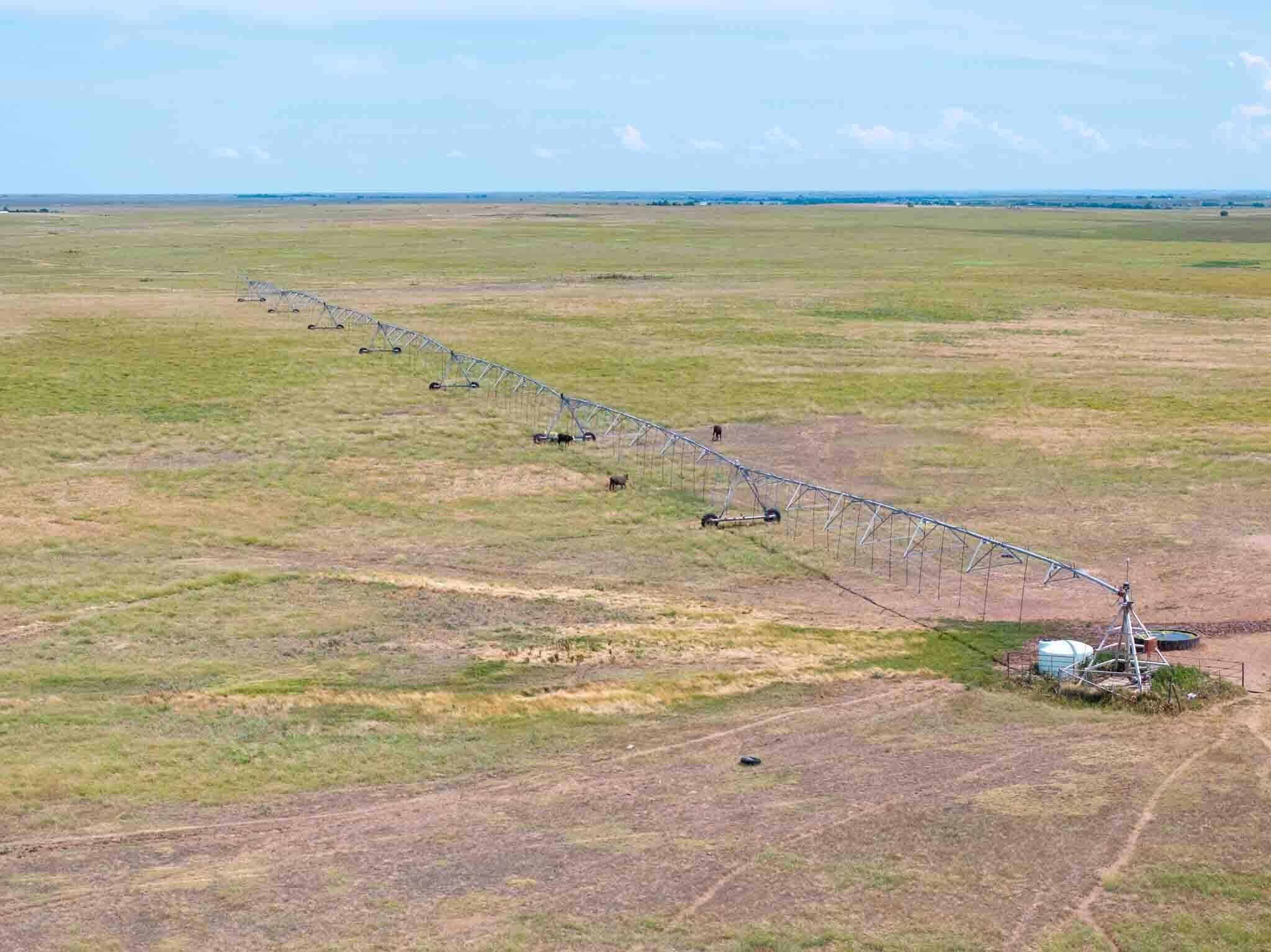 495 acres in Lipscomb County - photo 12