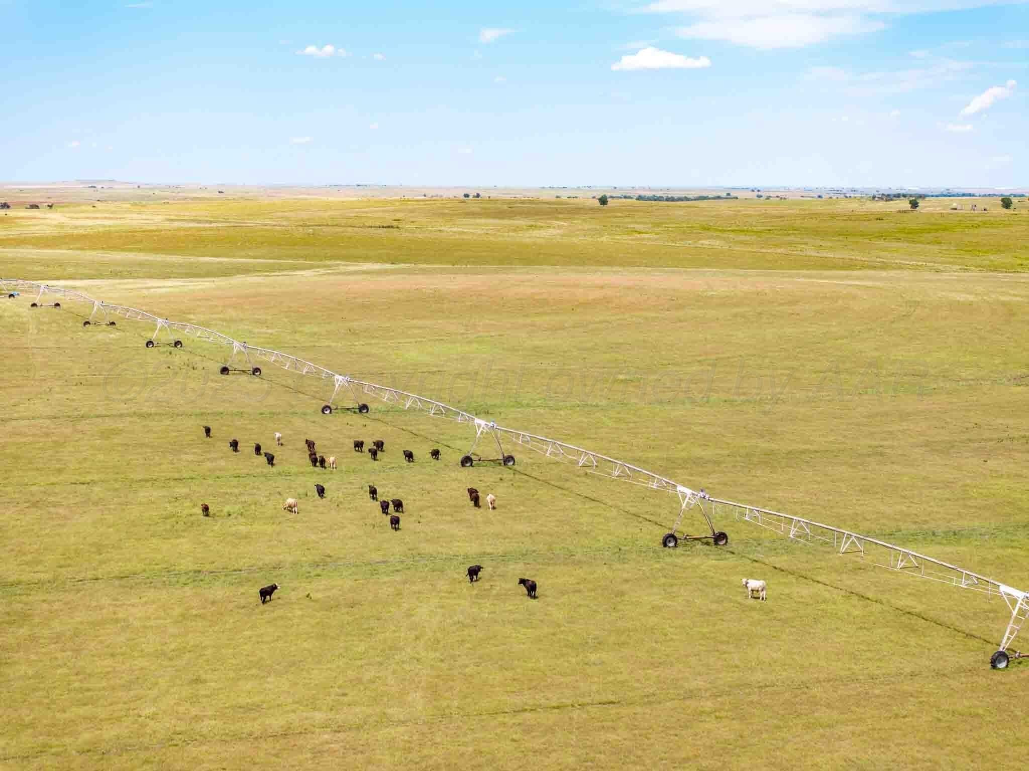 495 acres in Lipscomb County - photo 18