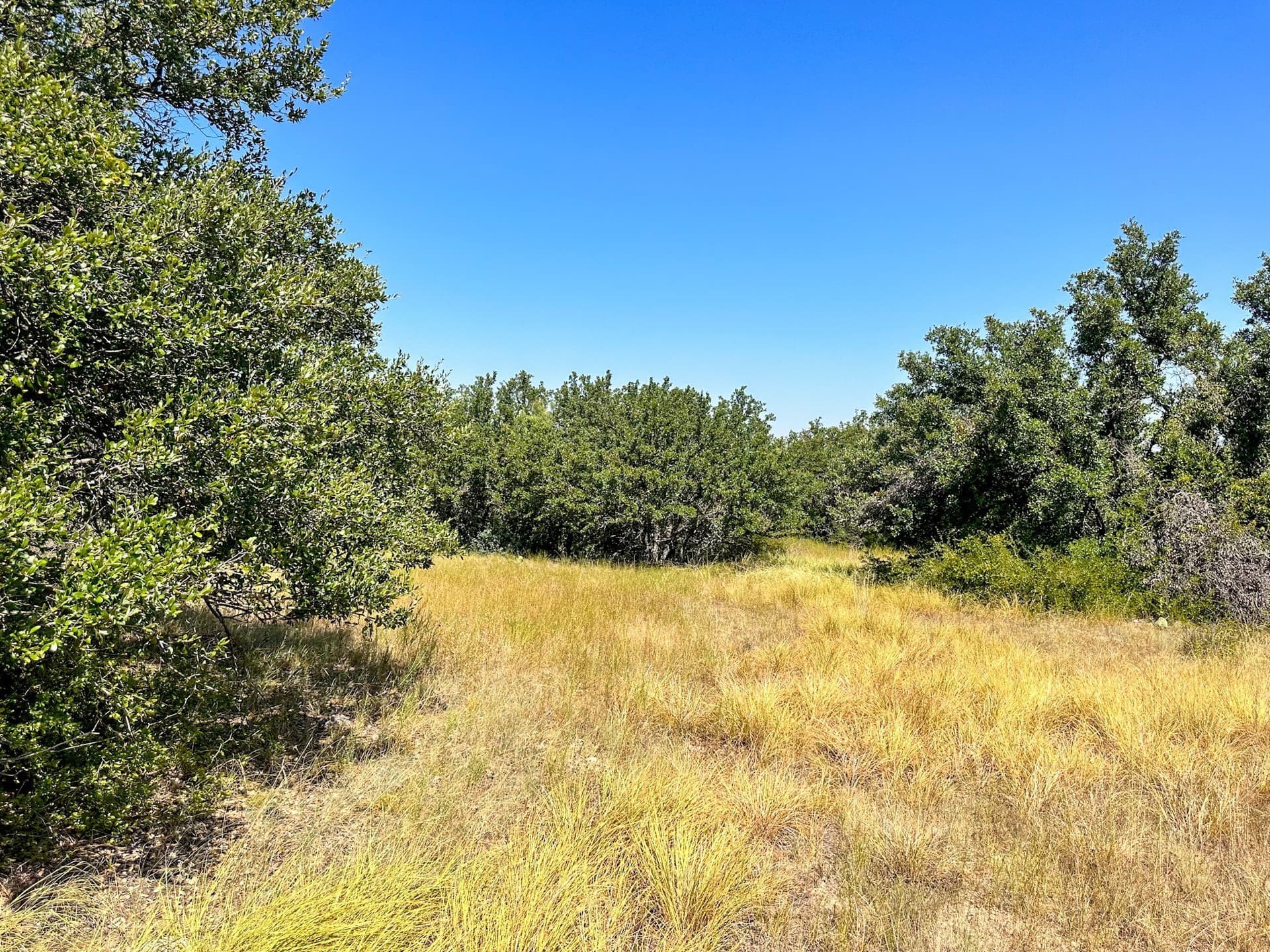 146.71 acres in Brown County - photo 39