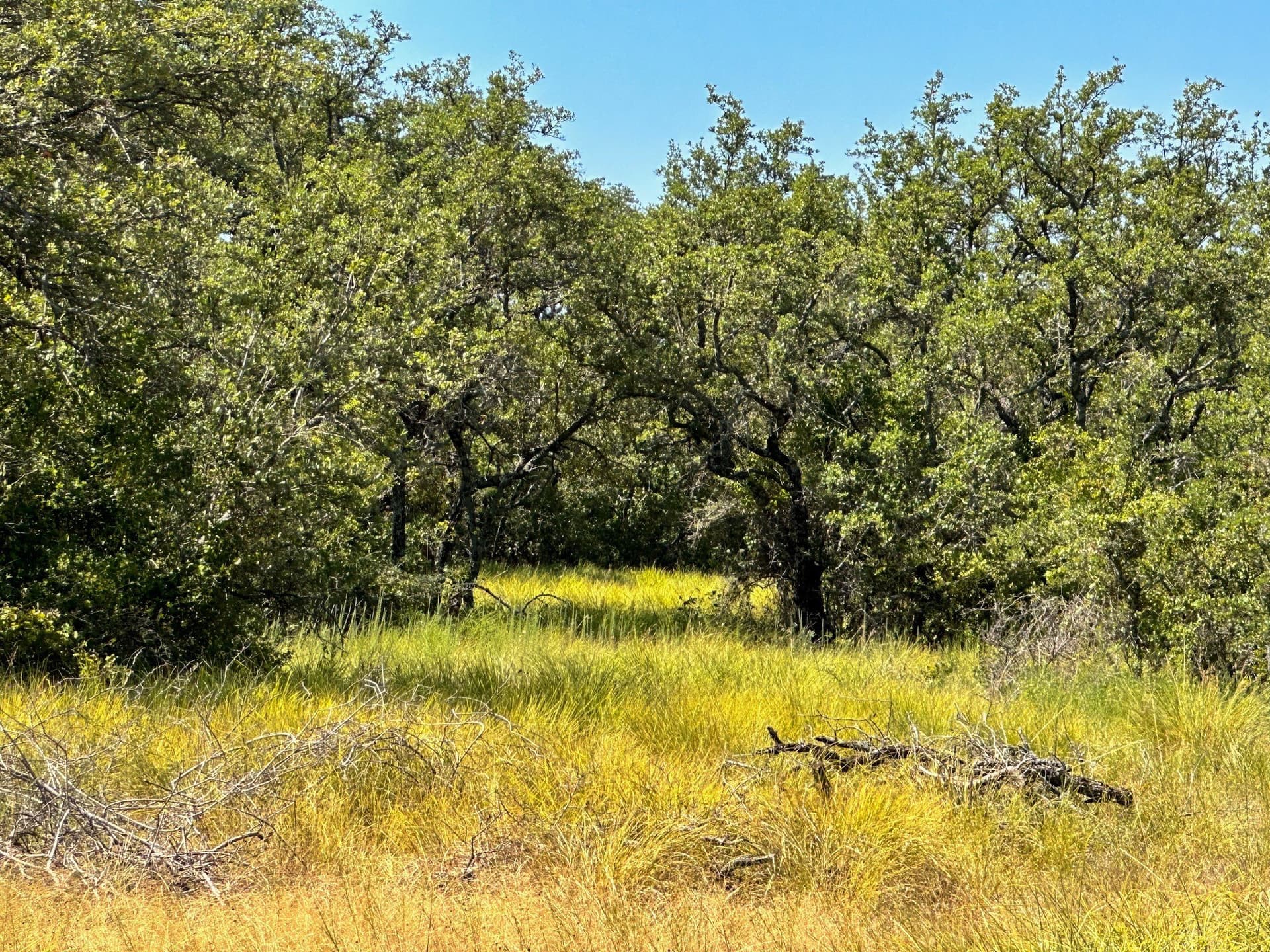 146.71 acres in Brown County - photo 26