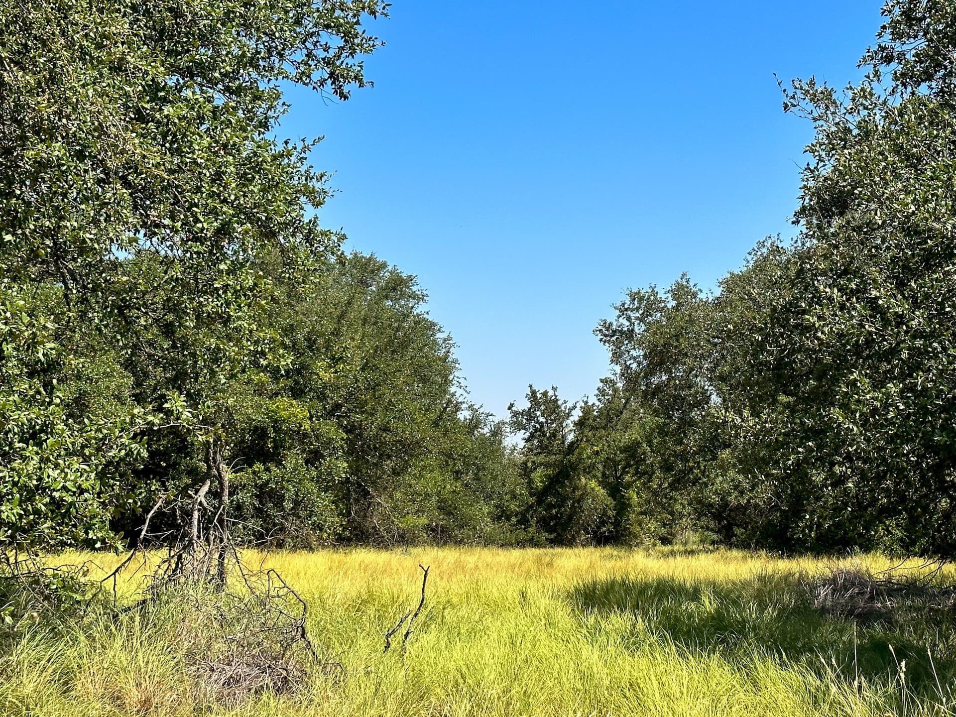 146.71 acres in Brown County - photo 25