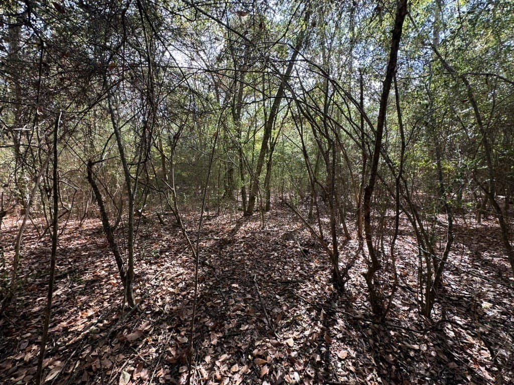 1.17 acres in Texas County gallery image 2