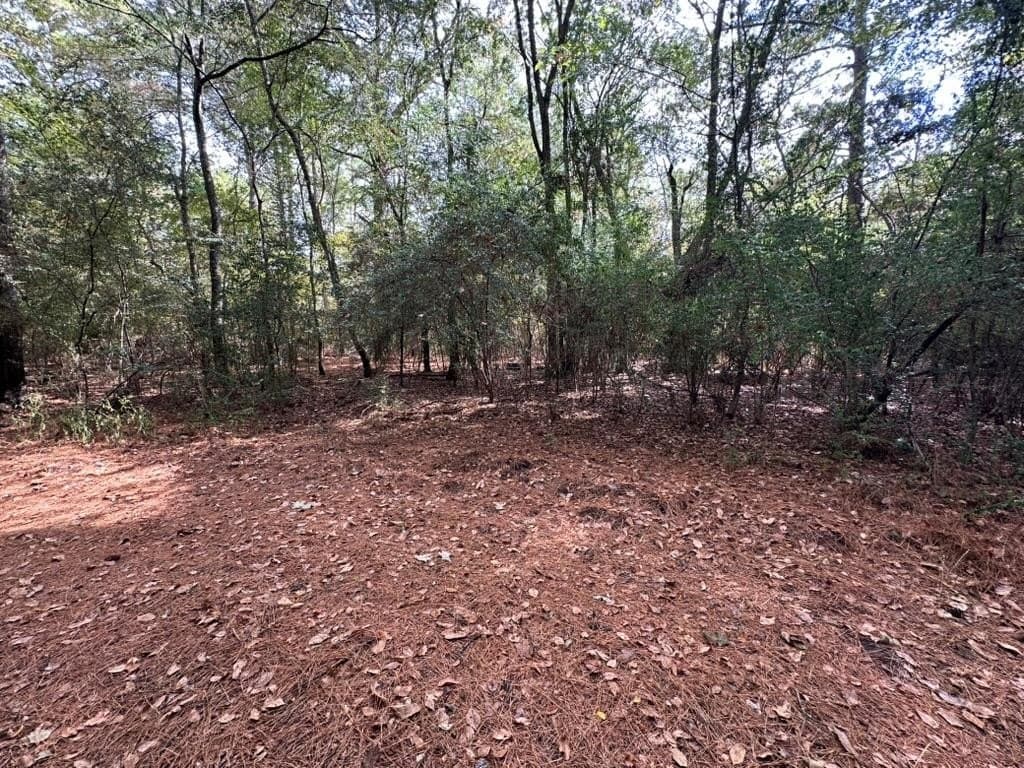 1.17 acres in Texas County featured view