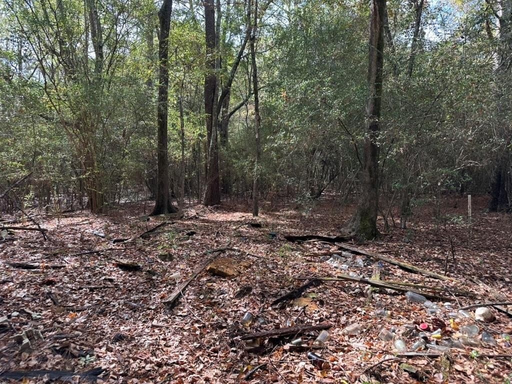 1.17 acres in Texas County gallery image 4