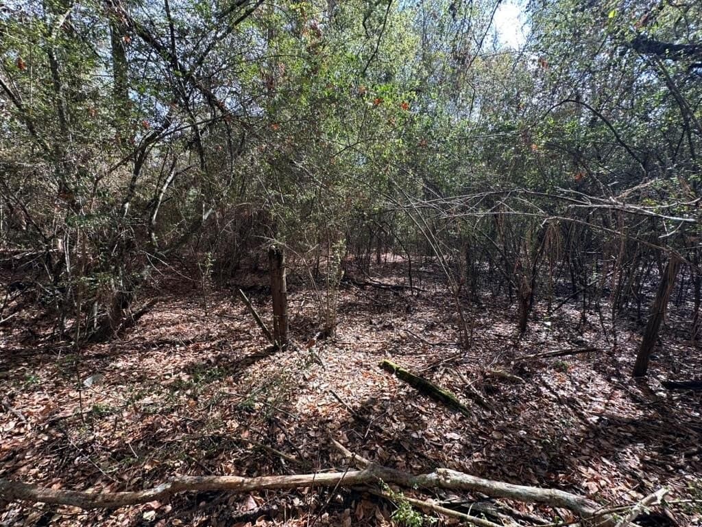 1.17 acres in Texas County gallery image 3