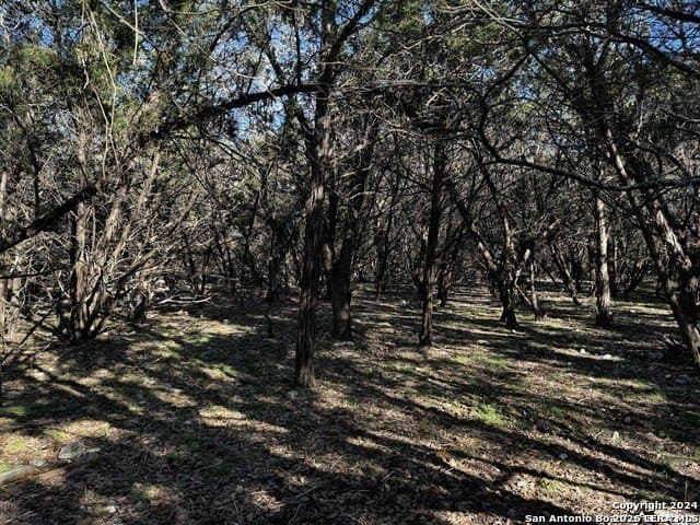 0.89 acres in Comal County - photo 3