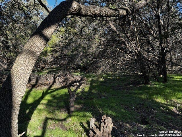 0.89 acres in Comal County - photo 2