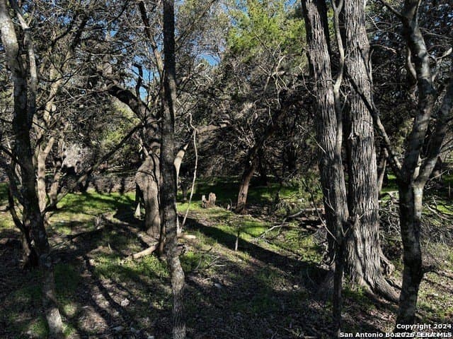 0.89 acres in Comal County - photo 4