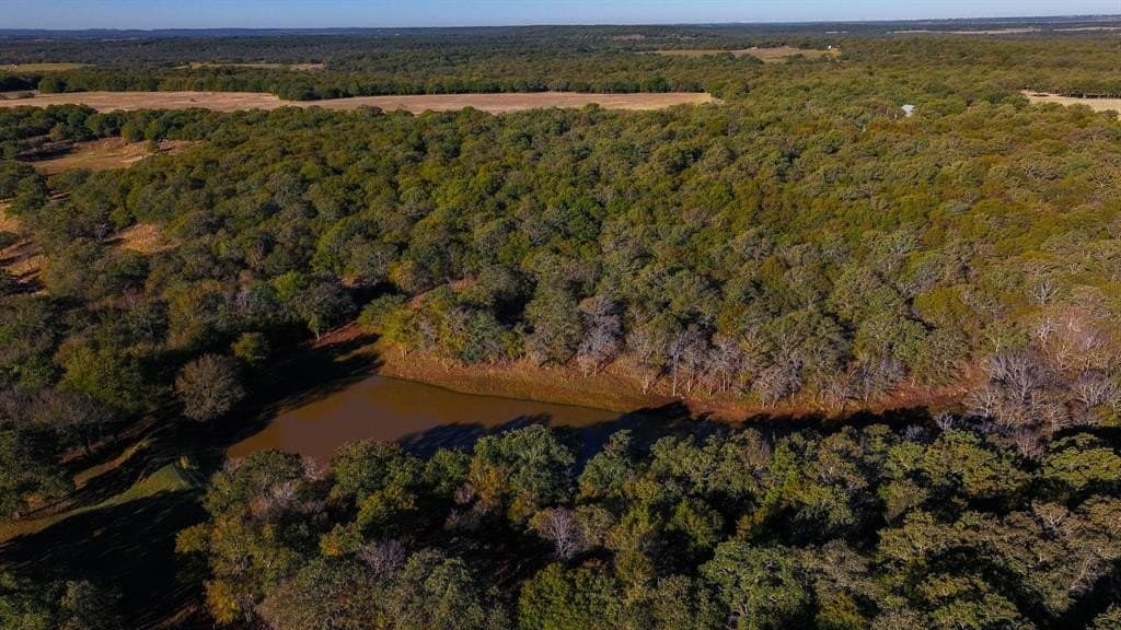 80 acres in Jack County gallery image 2