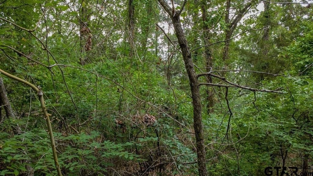 0.61 acres in Smith County - photo 8