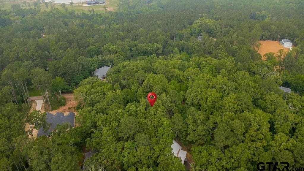 0.61 acres in Smith County gallery image 2