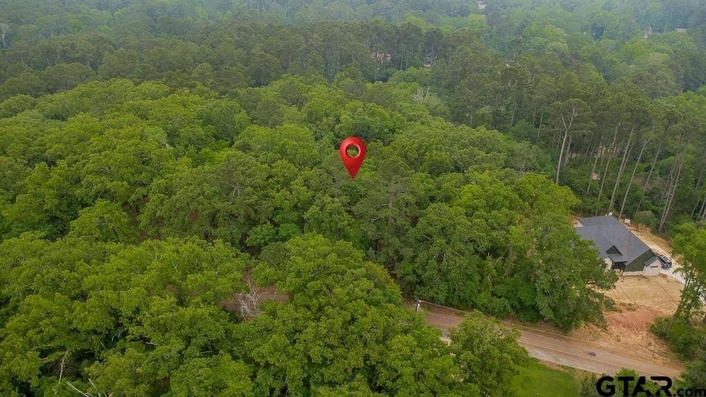 0.61 acres in Smith County - photo 16