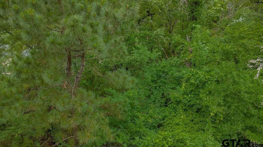 0.61 acres in Smith County - photo 6