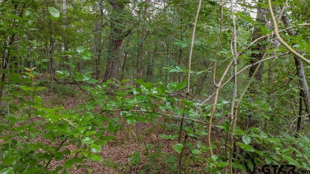 0.61 acres in Smith County - photo 7