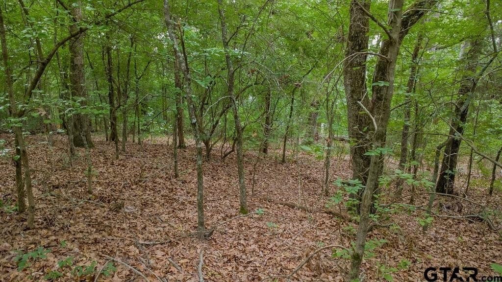 0.61 acres in Smith County - photo 15