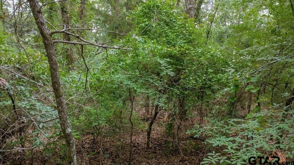 0.61 acres in Smith County - photo 9