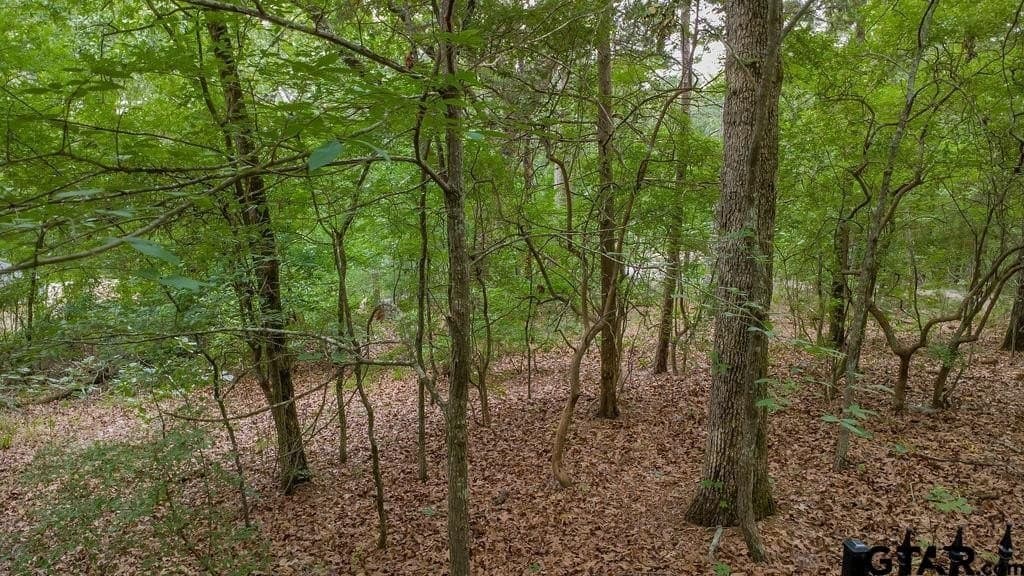 0.61 acres in Smith County - photo 13