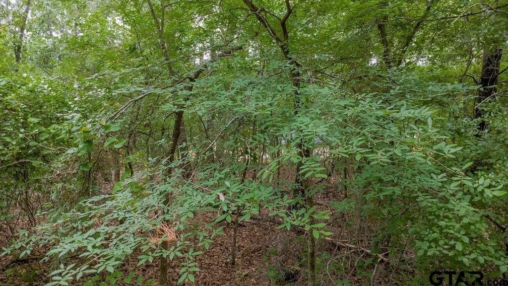 0.61 acres in Smith County - photo 10