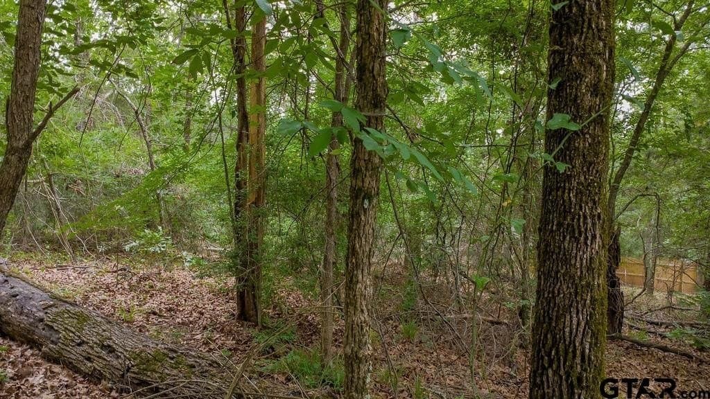 0.61 acres in Smith County - photo 11
